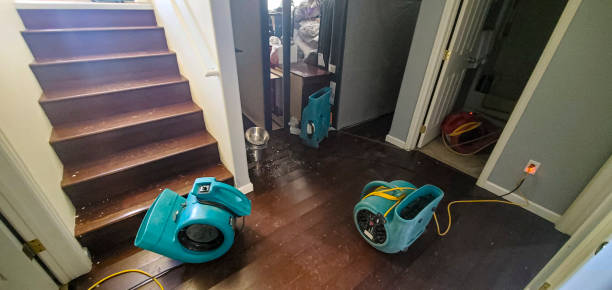  Chillum, MD Water damage restoration Pros
