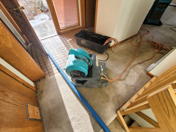 Best Ceiling water damage repair  in Chillum, MD