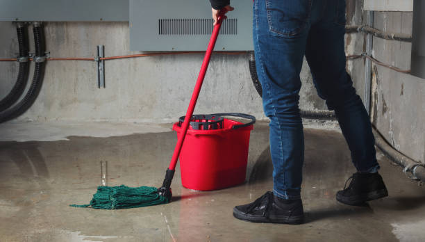 Best Water damage restoration specialists  in Chillum, MD