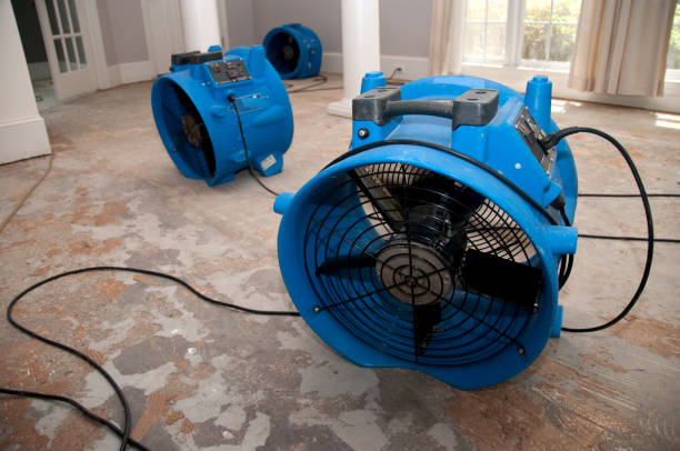 Best Carpet water damage restoration  in Chillum, MD