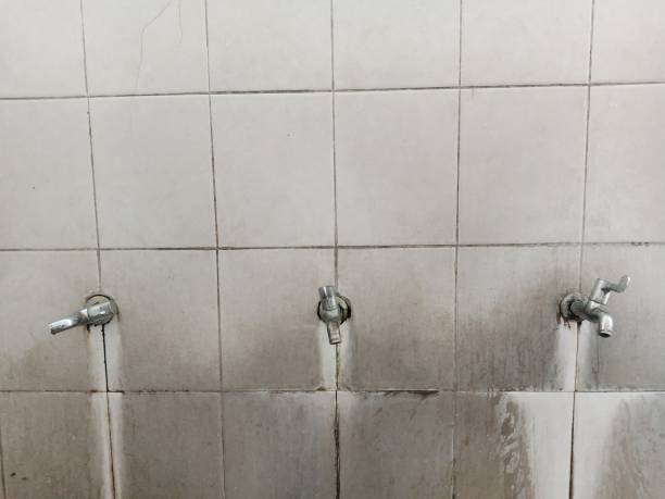 Best Water damage restoration near me  in Chillum, MD