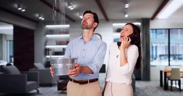 Best Commercial water damage restoration  in Chillum, MD